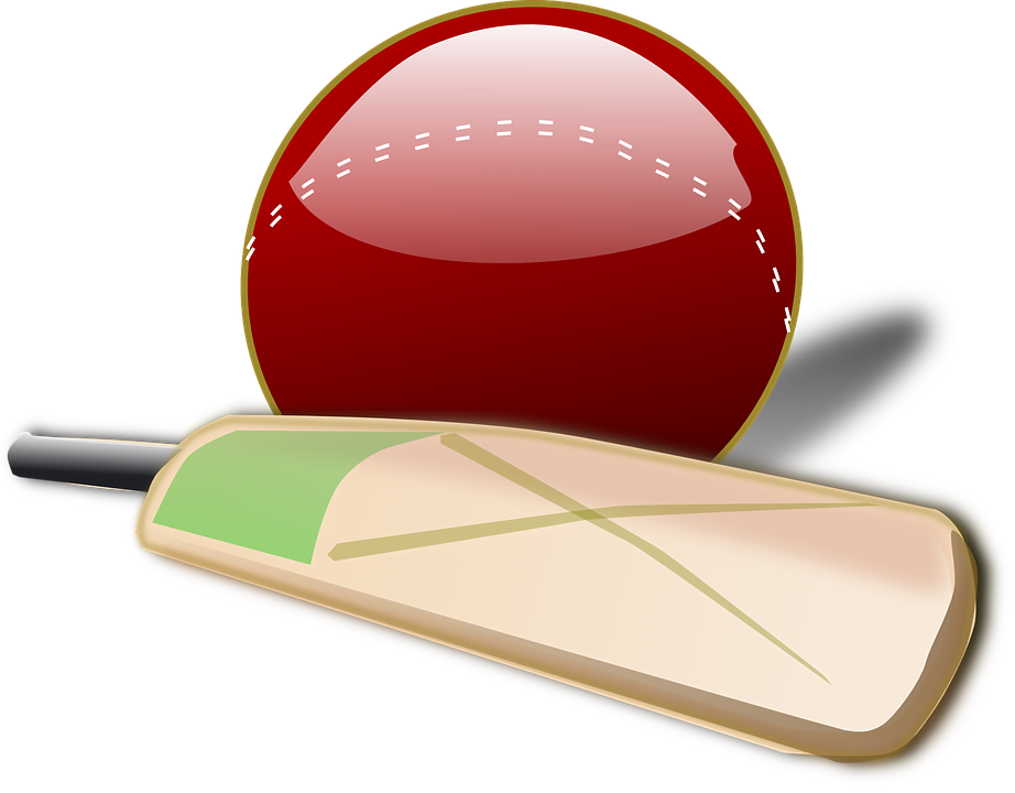 cricket-150561_960_720
