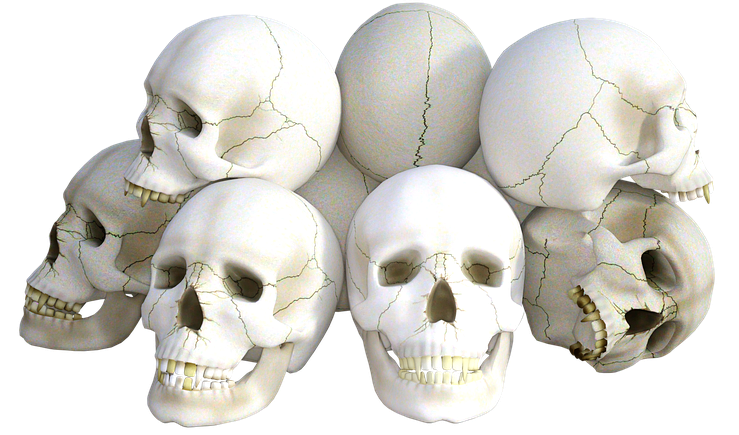 skulls-1