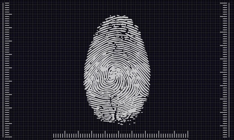 Fingerprint analysis-3